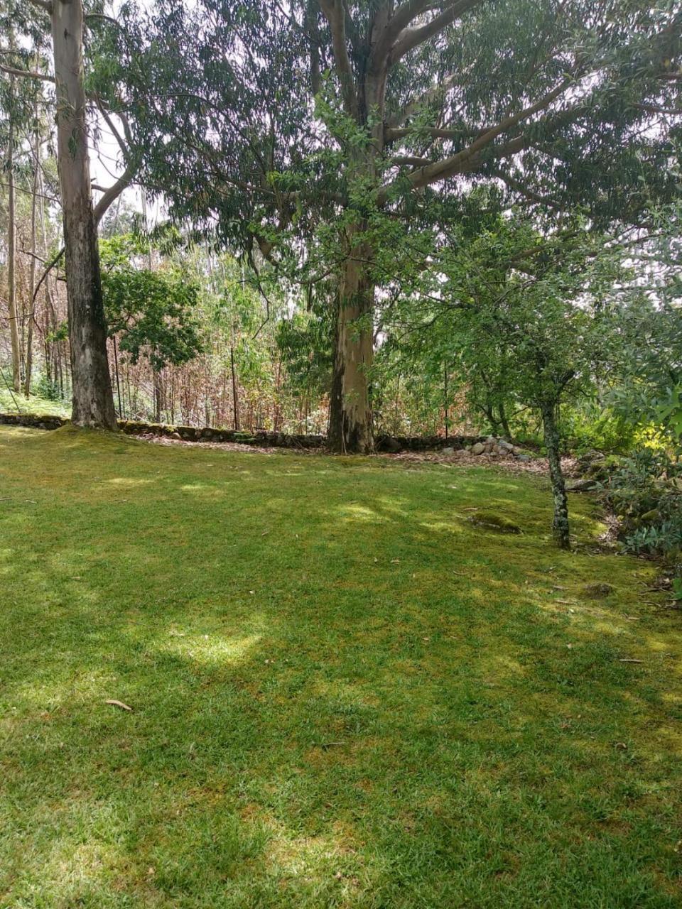 Quinta Geres Otel Terras de Bouro Dış mekan fotoğraf