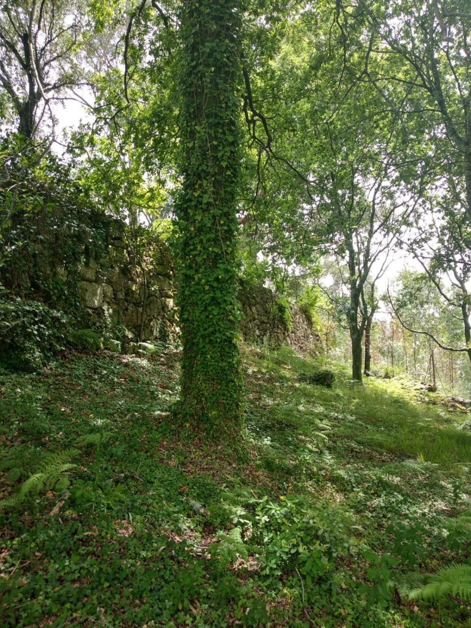 Quinta Geres Otel Terras de Bouro Dış mekan fotoğraf