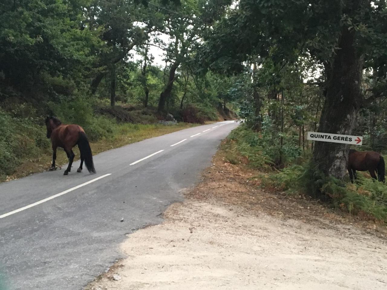 Quinta Geres Otel Terras de Bouro Dış mekan fotoğraf