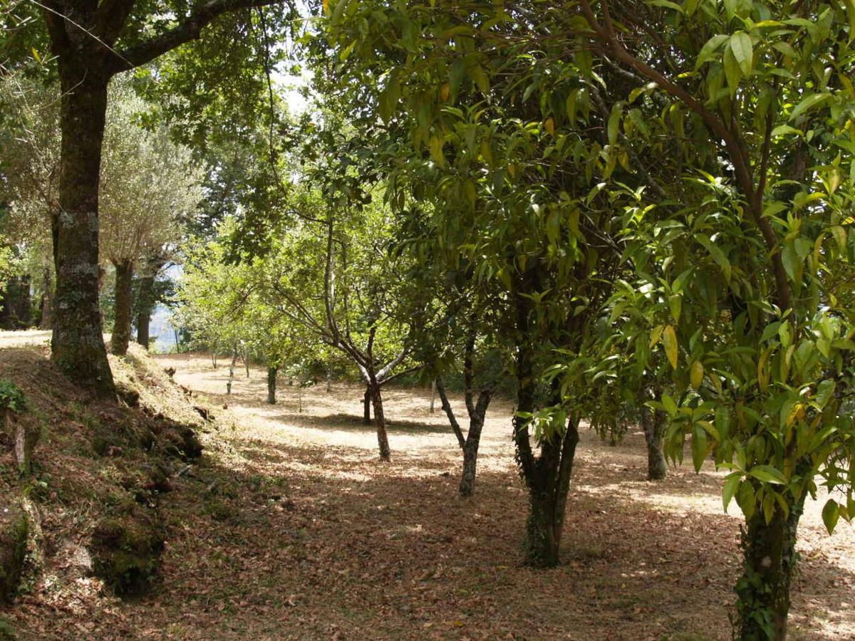 Quinta Geres Otel Terras de Bouro Dış mekan fotoğraf