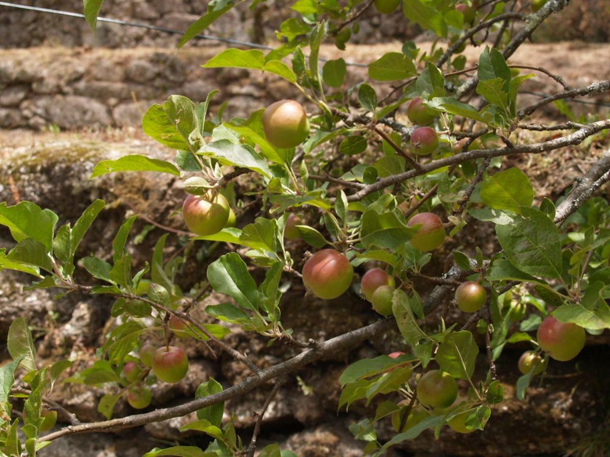 Quinta Geres Otel Terras de Bouro Dış mekan fotoğraf